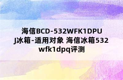 海信BCD-532WFK1DPUJ冰箱-适用对象 海信冰箱532wfk1dpq评测